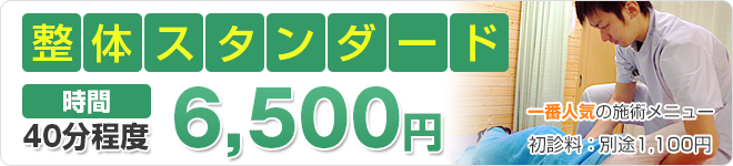 整体スタンダード
